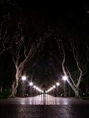 فقط بچه های کرج بیان تو 